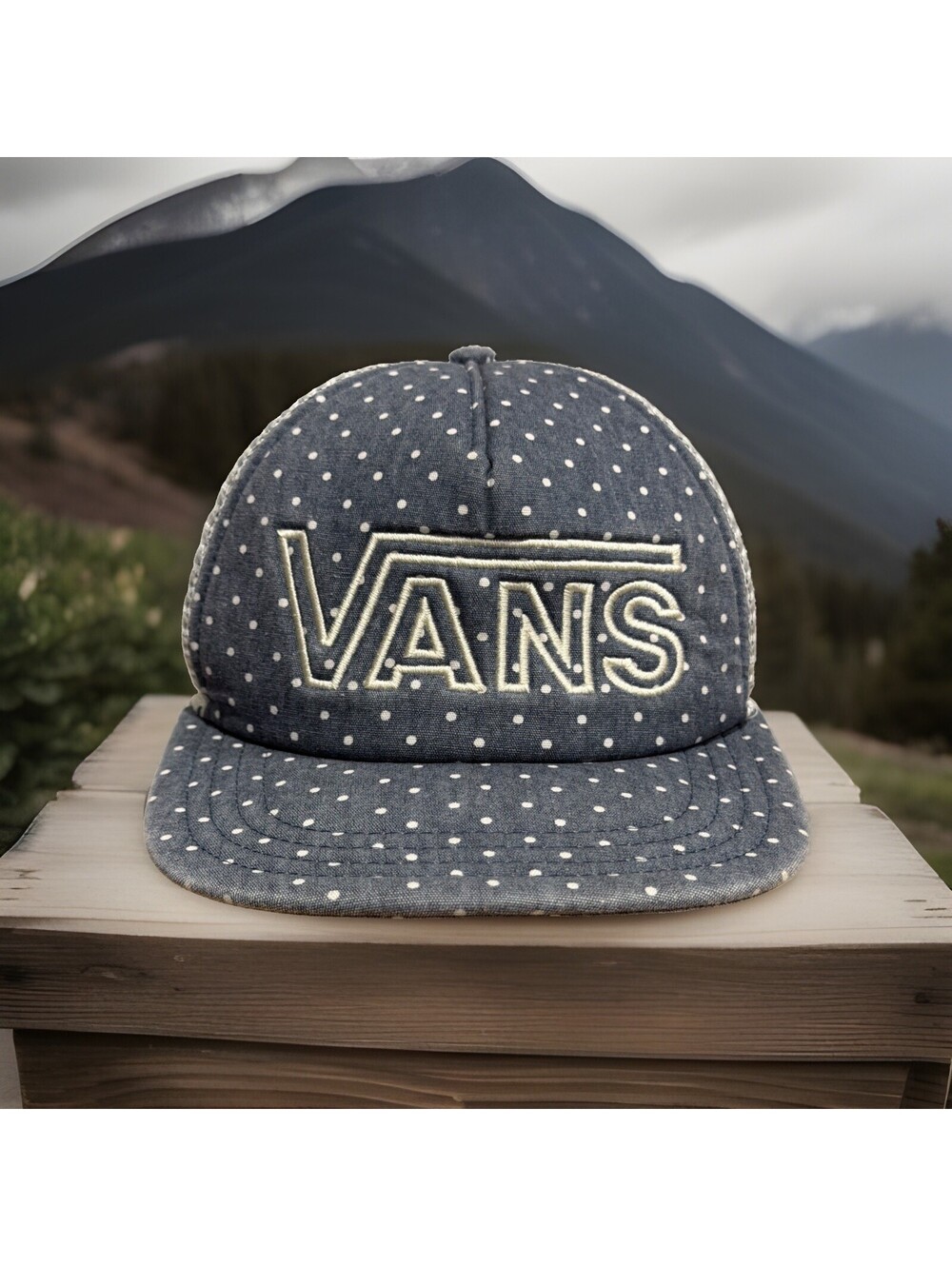 Vans Off The Wall Skateboard Polka Dot Skater Half Pipe Baseball Cap
